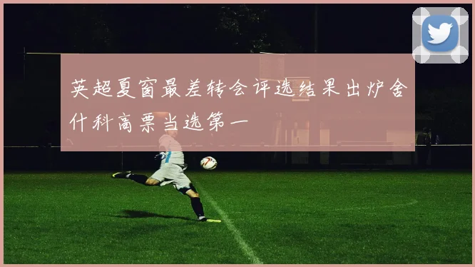 英超夏窗最差转会评选结果出炉舍什科高票当选第一