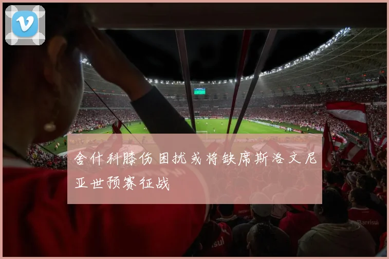 舍什科膝伤困扰或将缺席斯洛文尼亚世预赛征战