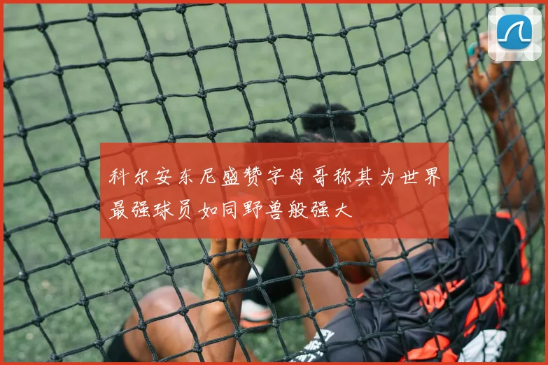 科尔安东尼盛赞字母哥称其为世界最强球员如同野兽般强大