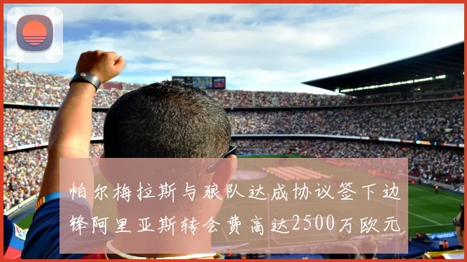 帕尔梅拉斯与狼队达成协议签下边锋阿里亚斯转会费高达2500万欧元