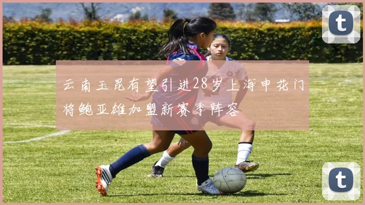 云南玉昆有望引进28岁上海申花门将鲍亚雄加盟新赛季阵容
