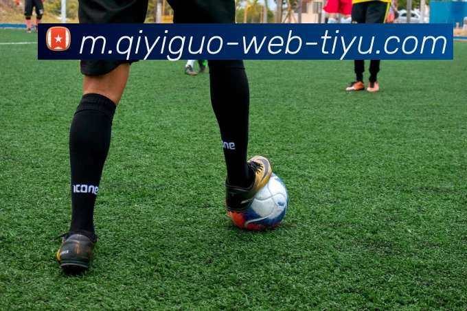 奇异果体育APP 封面图